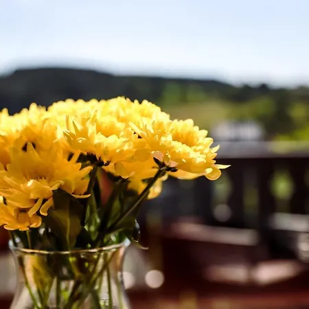 Апартаменты Sonnen Panorama - Abenteurer Und Weltentdecker *