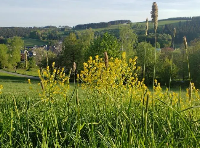 Apartman Sonnen Panorama - Abenteurer Und Weltentdecker Winterberg