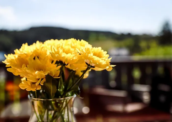 Apartman Sonnen Panorama - Abenteurer Und Weltentdecker *